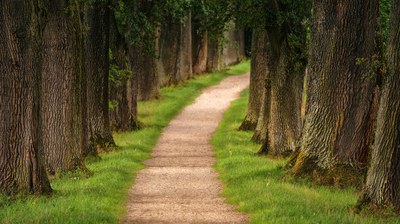 chemin de libération 